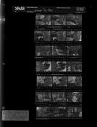 Group Picture - Nic (21 Negatives), May 27 - 29, 1967 [Sleeve 61, Folder e, Box 42]